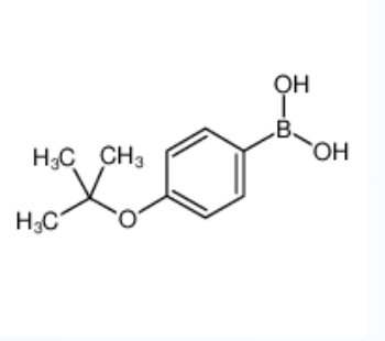 4-叔丁氧基苯硼酸