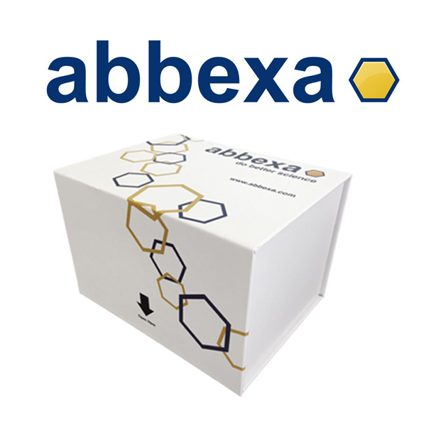 Bovine Serum Albumin (BSA) ELISA Kit