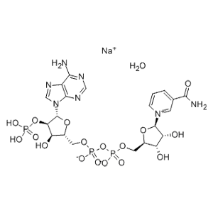 氧化型辅酶Ⅱ单钠盐水合物