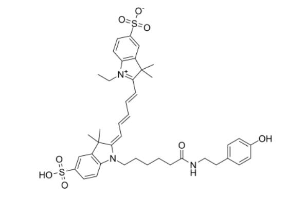 氰基-5-酪酰胺，Cy5 Tyramide
