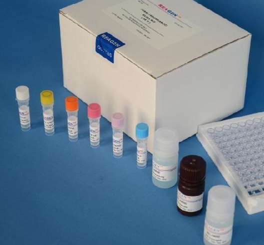 人毒蕈碱型乙酰胆碱受体(M-AChR)Elisa试剂盒