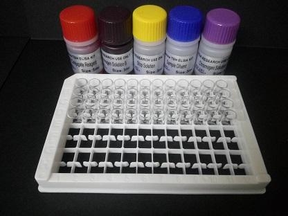 人环加氧酶2(COX-2)Elisa试剂盒
