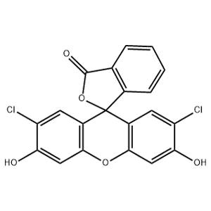 二氯荧光素