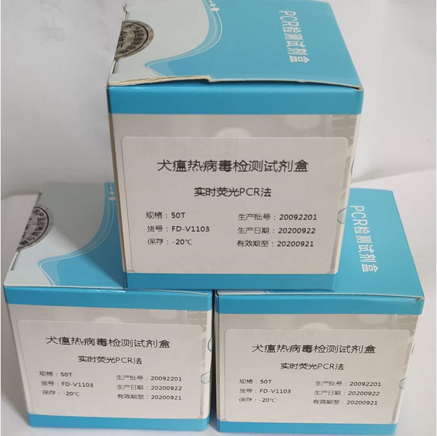 禽肾炎病毒2型探针法荧光定量RT-PCR试剂盒