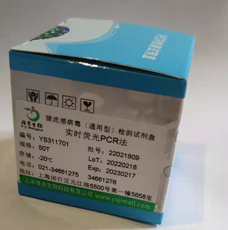 脆弱拟杆菌LAMP试剂盒