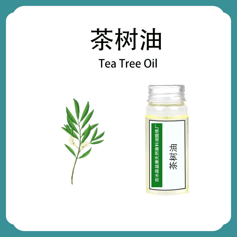 茶树油；茶树精油；互叶白千层油