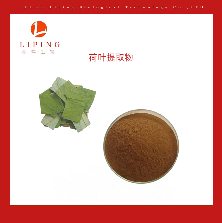 栎萍生物现货供应荷叶提取物荷叶碱2%-98% HPLC