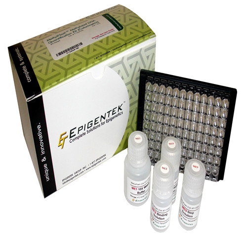 植物染色质免疫沉淀（ChIP）试剂盒 （24次反应）