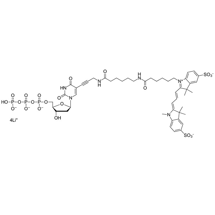 磺酸基Cy3 三磷酸盐