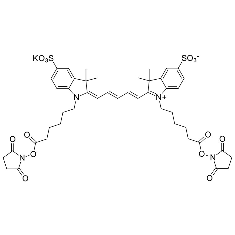 磺酸基Cy5 bis-活性酯；磺酸基Cy5 bis-琥珀酰亚胺酯