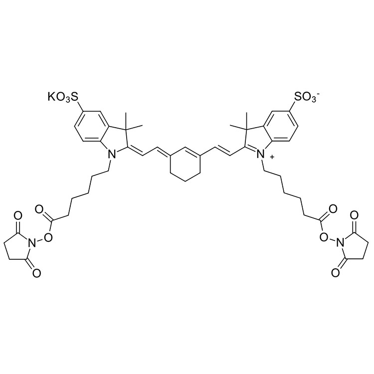 磺酸基Cy7 bis-活性酯；磺酸基Cy7 bis-琥珀酰亚胺酯