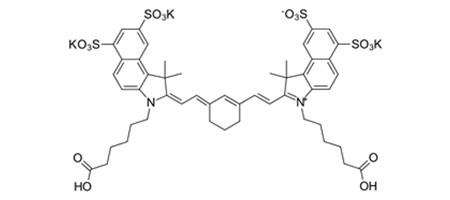 Sulfo-Cyanine7.5 dicarboxylic acid.jpg