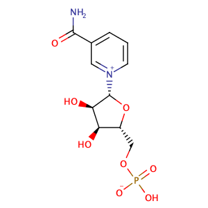 β-烟酰胺单核苷酸