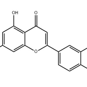 木犀草素