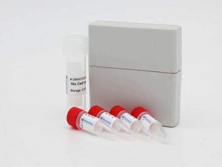 小鼠β氨基己糖苷酶A(β-HexA)Elisa试剂盒