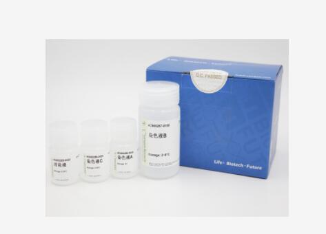 小鼠α羟基丁酸脱氢酶(αHBDH)Elisa试剂盒