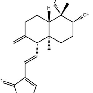 穿心莲内酯