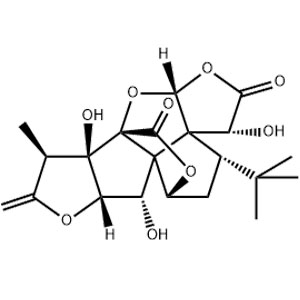 银杏内酯B