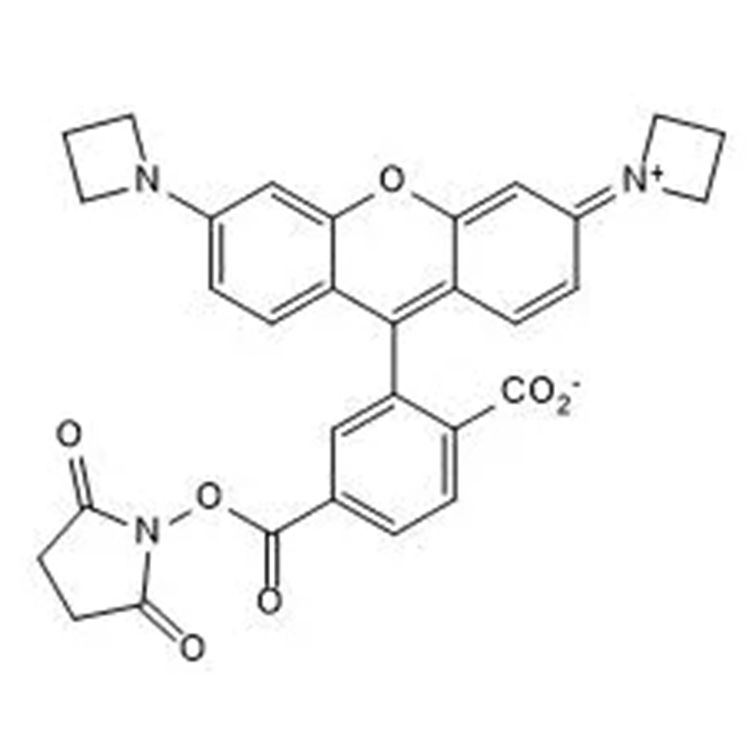 JaneliaFluor549 活性酯