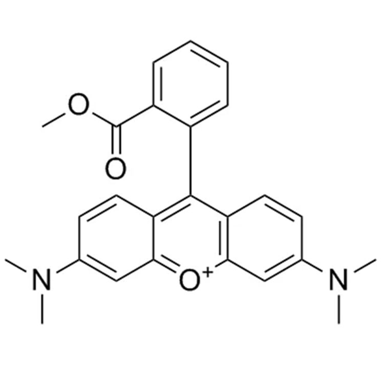 四甲基罗丹明甲酯