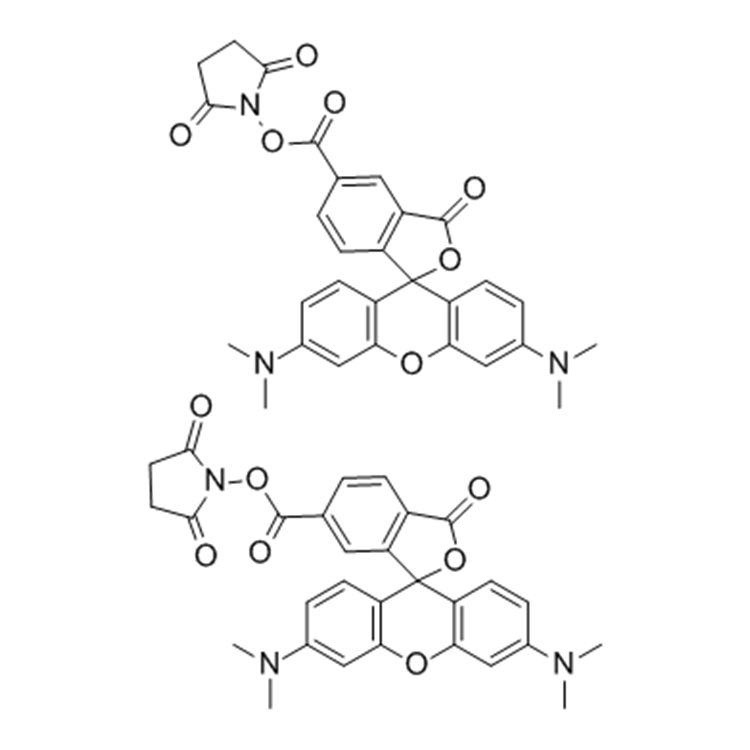 5(6)-羧基四甲基罗丹明琥珀酰亚胺酯；5(6)-羧基四甲基罗丹明活性酯