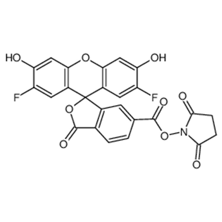 6-OG488琥珀酰亚胺酯；6-OG488活性酯