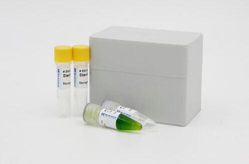 小鼠抑制素B(INH-B)Elisa试剂盒