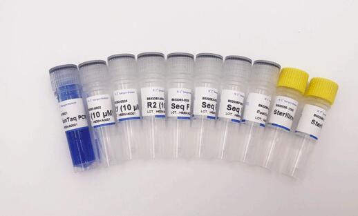 产气荚膜梭状芽孢杆菌B型PCR试剂盒