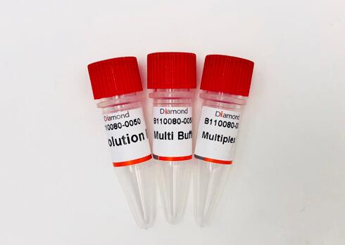 诺氏梭状芽孢杆菌探针法荧光定量PCR试剂盒