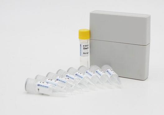 小鼠血浆α颗粒膜蛋白(GMP-140)Elisa试剂盒