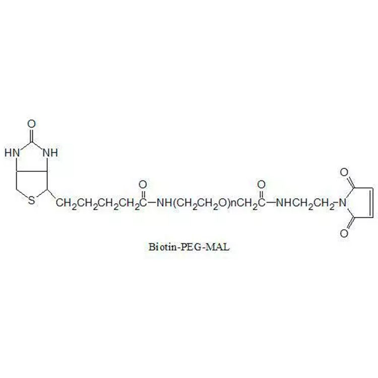 生物素聚乙二醇马来酰亚胺