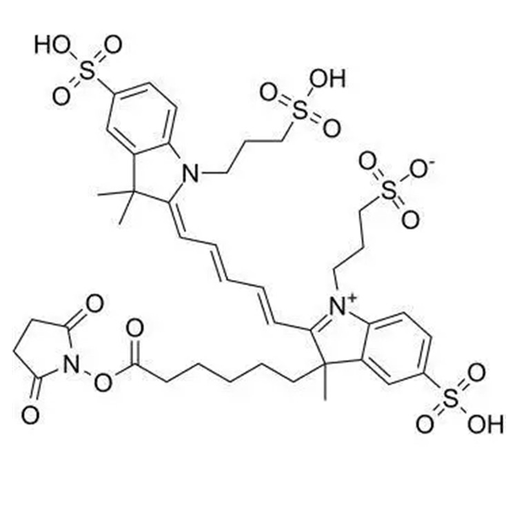 AF647活性酯