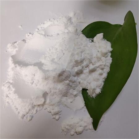 2,5-吡嗪二羧酸 CAS#122-05-4 白色或者淡白色结晶粉末