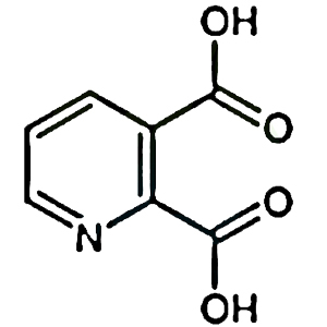 2,3-吡啶二甲酸