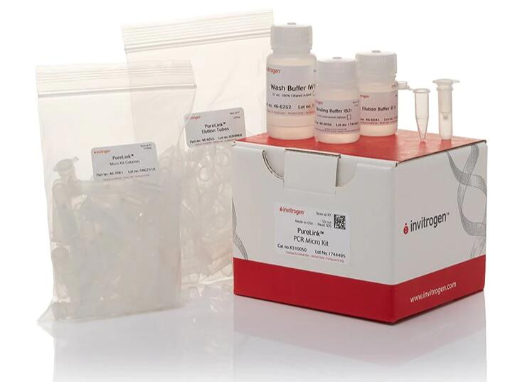 沙雷菌通用探针法荧光定量PCR试剂盒