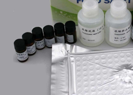 大鼠色素上皮衍生因子(PEDF)Elisa试剂盒