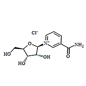 烟酰胺核糖氯化物