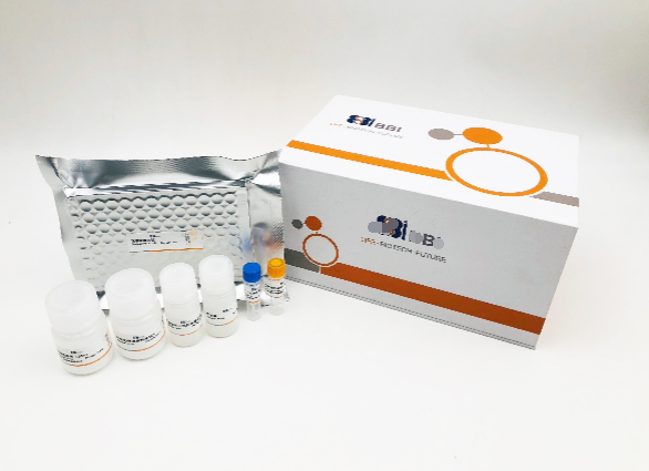 小鼠钥孔虫戚血蓝蛋白(KLHIgM)Elisa试剂盒