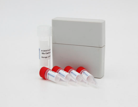 小鼠肠道病毒71型IgG抗体(EV71-IgG)Elisa试剂盒
