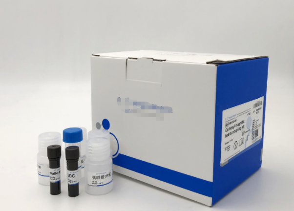 小鼠可溶性白细胞介素6受体(sIL-6R)Elisa试剂盒