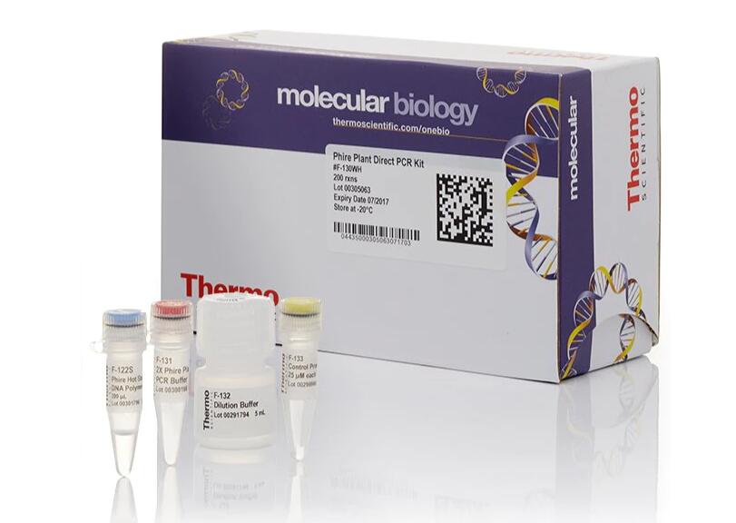 麦类条斑病菌PCR试剂盒