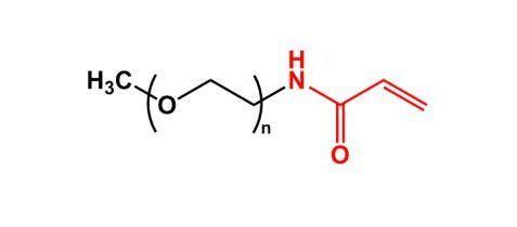 mPEG-Acrylamide.jpg