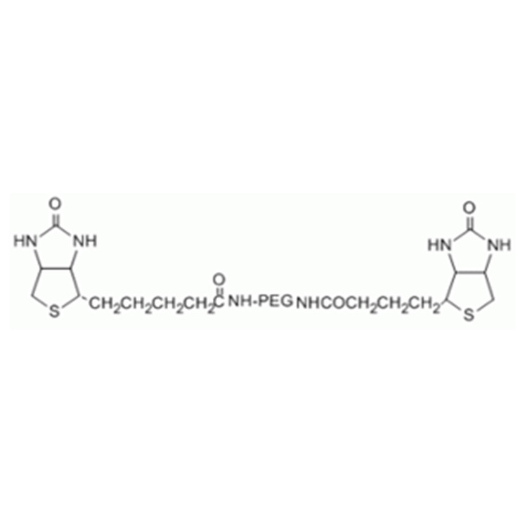 生物素-聚乙二醇-生物素