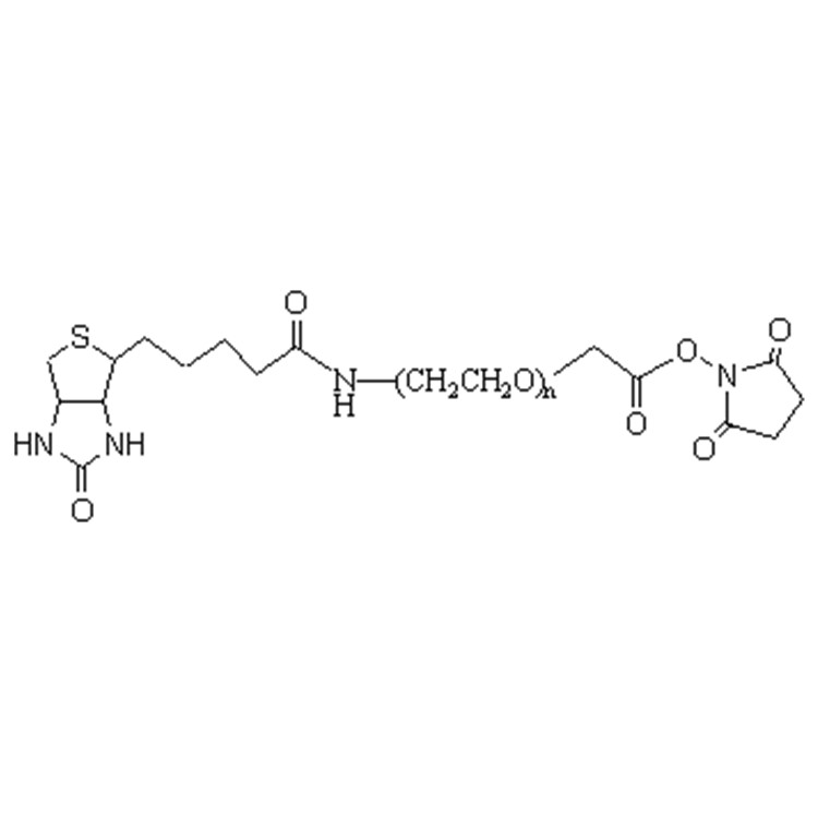 生物素-聚乙二醇-琥珀酰亚胺乙酸酯
