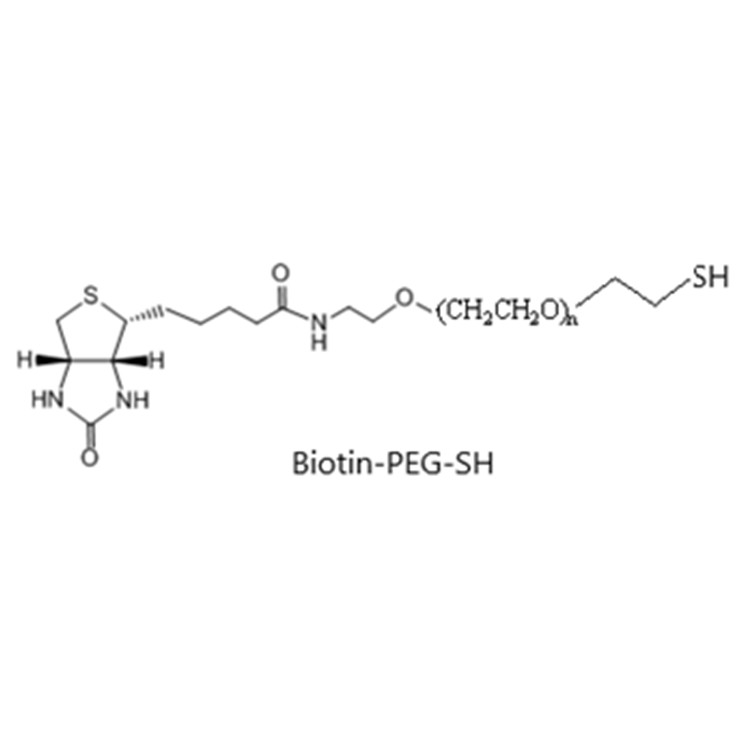 生物素-聚乙二醇-巯基