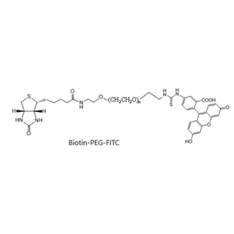 荧光素-聚乙二醇-生物素