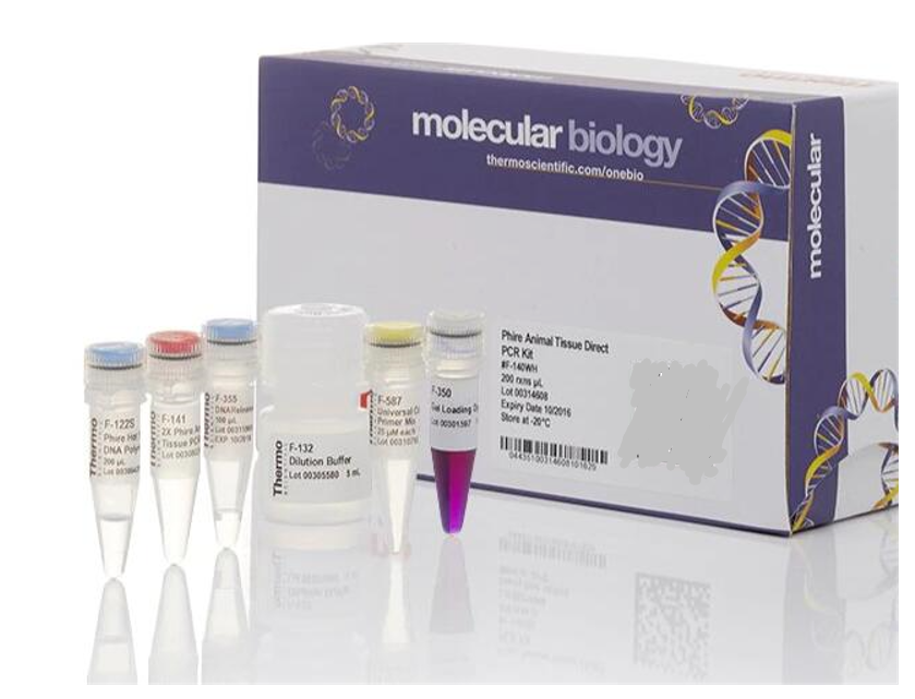博尔纳病病毒探针法荧光定量RT-PCR试剂盒