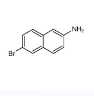 70592-80-2；N,N-二甲基烷基-C10-16-胺-N-氧化物