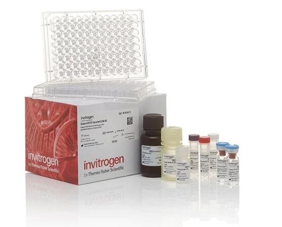 人1-磷酸鞘氨醇(S1P)Elisa试剂盒