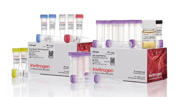 禽腺病毒（I群）探针法荧光定量PCR试剂盒